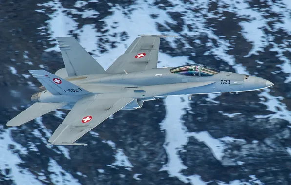 Picture flight, weapons, fighter, multipurpose, FA-18C Hornet