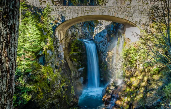 Picture trees, bridge, stones, waterfall, stream, Washington, USA, the bushes, Mount Rainier National Park, Christine Falls