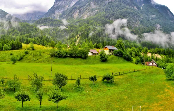 Picture forest, grass, clouds, trees, mountains, home, Slovenia, Slovenia, Poliana.