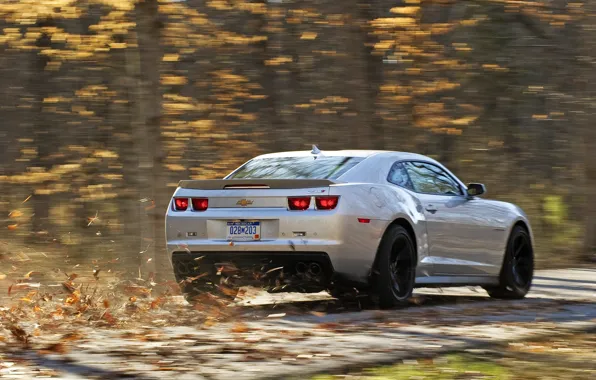Picture road, autumn, leaves, speed, silver, Chevrolet, camaro, rear view, chevrolet, road, autumn, silvery, zl1, Camaro …