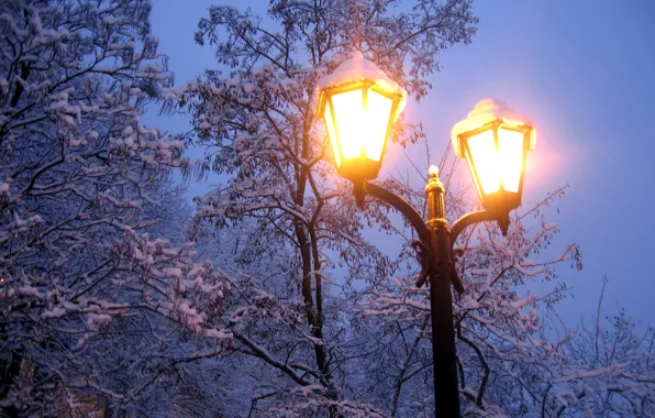 Picture cold, winter, light, snow, trees, branches, nature, the evening, frost, lantern