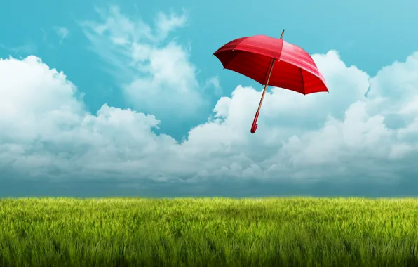 Picture field, the sky, red, umbrella, umbrella