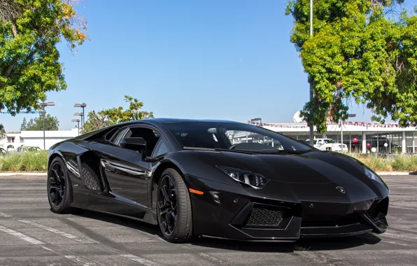 Picture black, Parking, lamborghini, black, front view, aventador, lp700-4, Lamborghini, aventador