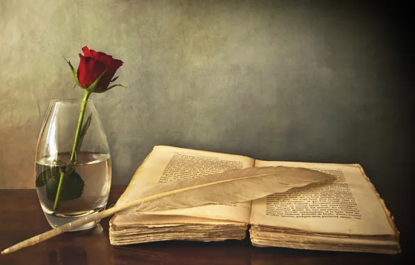 Picture table, pen, rose, book, vase, red, old