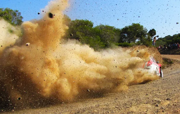 Picture Ford, Dust, Sport, Machine, Speed, Stones, Ford, WRC, Rally, Fiesta