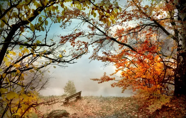 Picture autumn, Park, river, bench