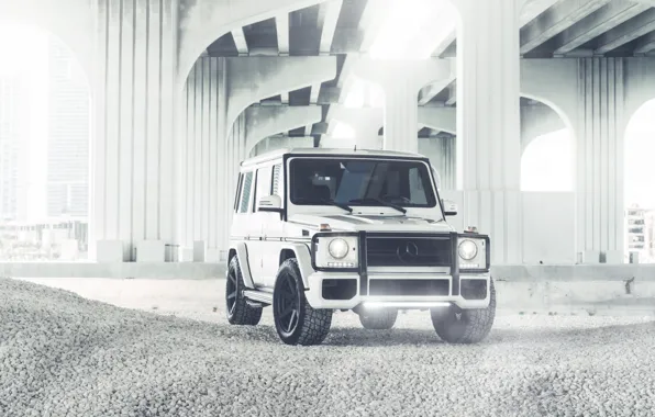 Picture Mercedes-Benz, white, G55, front, G-Class, W463