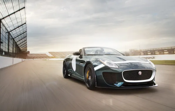 Picture Jaguar, F-Type, Project 7, 2015