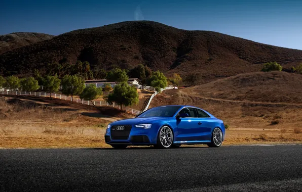 Picture Audi, Car, Blue, RS5, Sport, Road, Wheels, Tuned, HRE