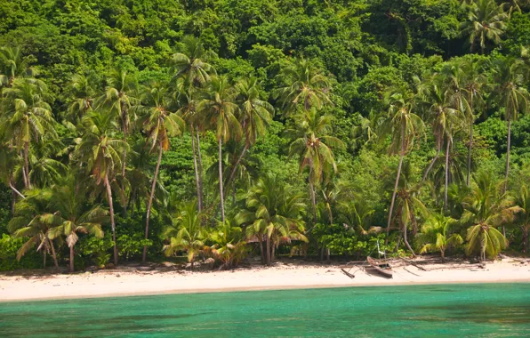 Picture sand, landscape, nature, tropical beach, palm trees, the ocean, shore, island, ocean, landscape, nature, island, …
