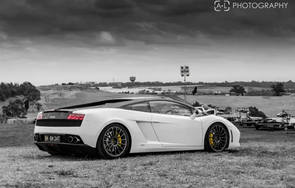 Picture black and white, white, white, gallardo, lamborghini, Lamborghini, lp560-4
