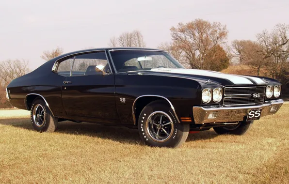 Picture the sky, grass, trees, black, coupe, Chevrolet, Chevrolet, Coupe, 1970, the front, Chevelle, Muscle car, …