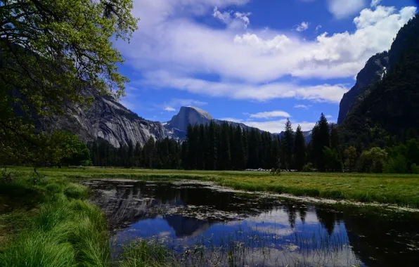 Picture trees, mountains, river, CA, Yosemite, California, Yosemite National Park