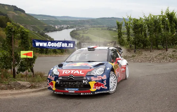 Picture Road, Machine, Citroen, River, Red Bull, DS3, Rally, The front, Total