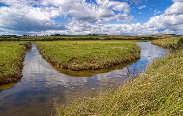 Picture grass, water, clouds, river, channel