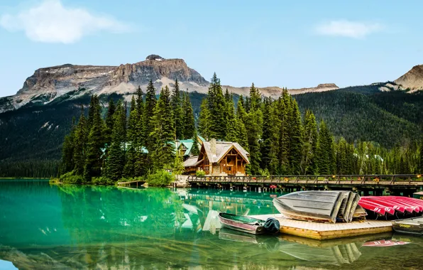 Picture forest, trees, mountains, bridge, lake, rocks, boats, pier, Canada, houses, Yoho National Park