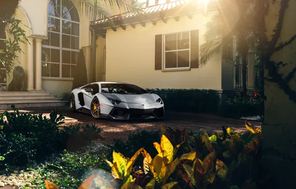 Picture Lamborghini, Front, Sun, White, Matte, Tuning, LP700-4, Aventador, Supercar, Wheels, ADV.1