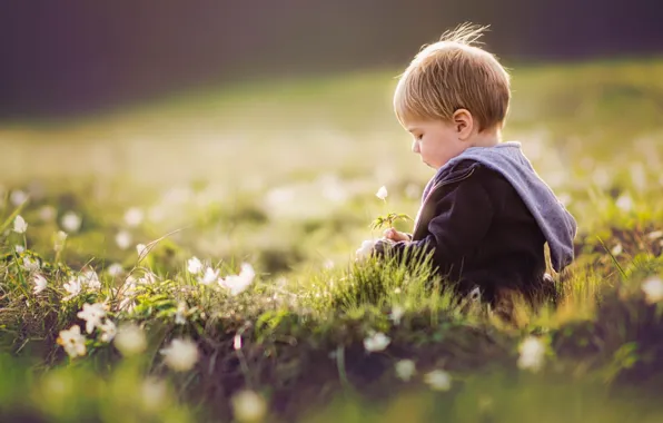 Picture summer, flowers, boy