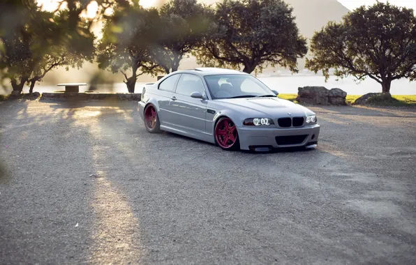 Picture white, trees, bmw, BMW, red, red, white, wheels, drives, e46
