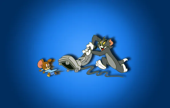 Picture cat, cartoon, mouse, tom and jerry, Tom and Jerry