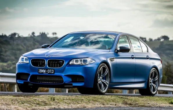Picture blue, BMW, BMW, F10, Sedan, 2015