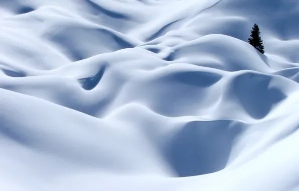 Picture winter, white, snow, tree, Alps