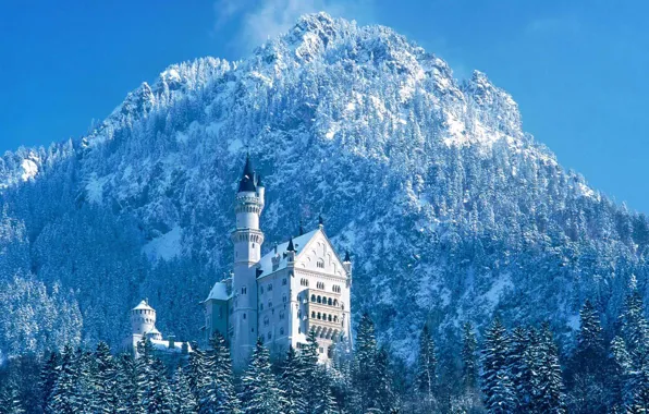 Picture Castle, Bayern, Neuschwanstein
