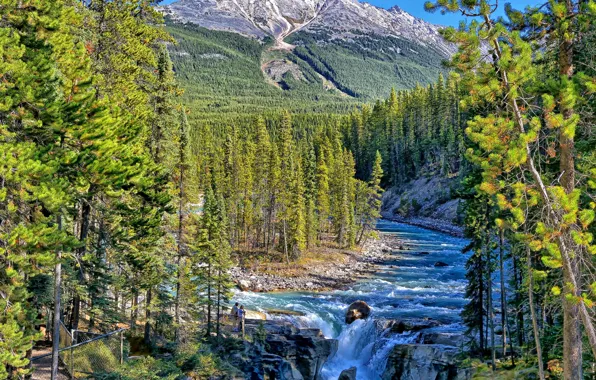 Picture forest, mountains, river, waterfall, Canada, Albert, Alberta, Canada, Jasper National Park, Sunwapta Falls, Sunwapta River, …