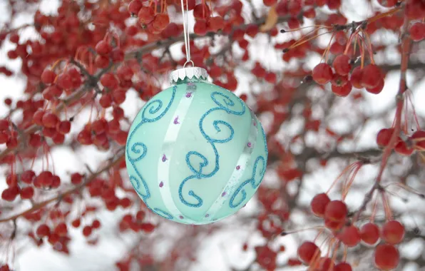 Picture snow, branches, holiday, toy, ball, berry, New year, Rowan, Christmas, closeup