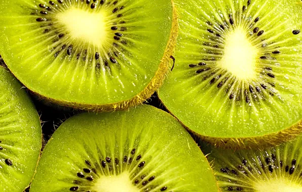 Picture green, background, widescreen, Wallpaper, food, seeds, kiwi, berry, wallpaper, widescreen, background, slices, full screen, HD …