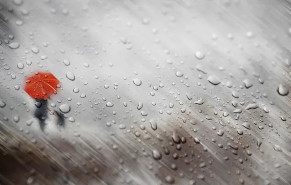 Picture autumn, glass, girl, drops, rain, dog, umbrella, silhouettes