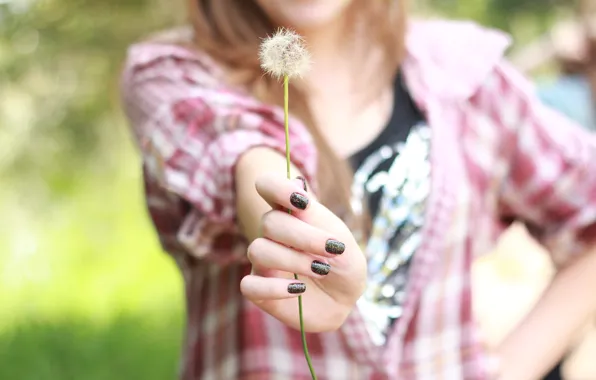 Picture greens, girl, nature, background, dandelion, Wallpaper, mood, plant, hand, blur, cell, jacket, nails, widescreen, lacquer, …