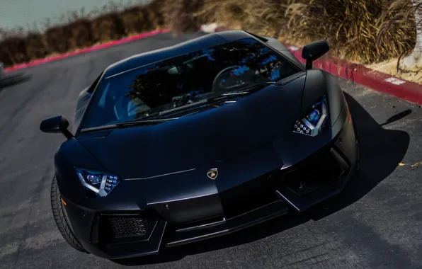 Picture Lamborghini, black, Aventador