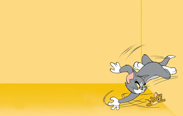 Picture cat, Wallpaper, anger, cartoon, laughter, chase, wallpaper, cat, Tom and Jerry, bat, threatening look, mouse, …