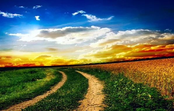 Picture field, the sky, grass, clouds, landscape, sunset, nature, road