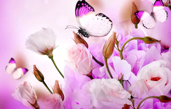 Picture flowers, collage, butterfly, petals