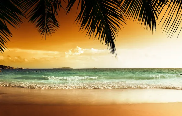 Picture sand, sea, beach, sunset, tropics, palm trees, shore, beach, sea, ocean, sunset, paradise, palms, tropical