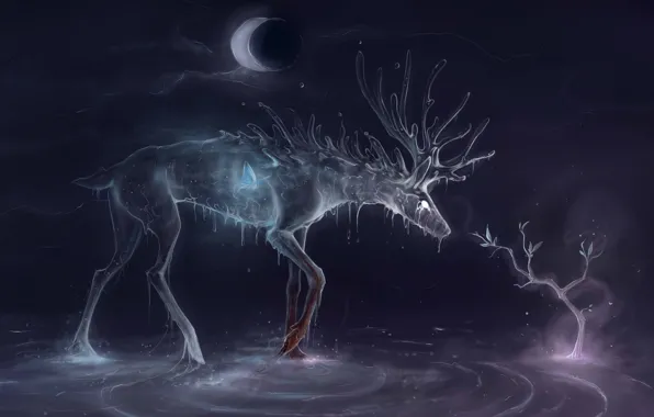 Picture water, drops, tree, the moon, butterfly, spirit, a month, deer, art