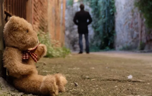 Picture sadness, loneliness, toy, bear, bear, toy, bear, cute, lonely, Teddy