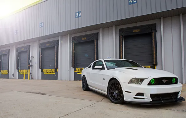Picture white, Mustang, Ford, GT500, Mustang, Ford, 5.0