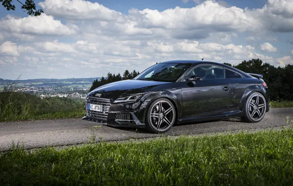 Picture Audi, Audi, coupe, Coupe, ABBOT, 2015, TTS