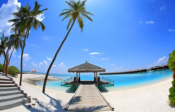 Picture sand, sea, beach, the sky, nature, palm trees, stay, vacation, the Maldives, the bridge, Bungalow