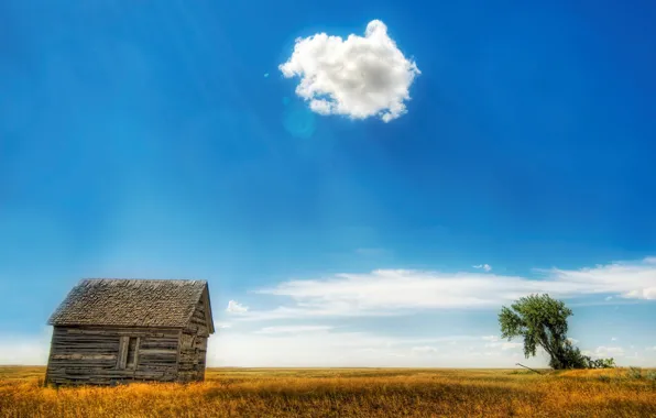 Picture field, clouds, house, tree, 153