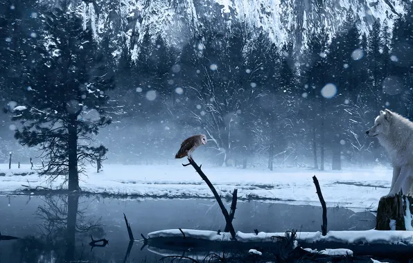 Picture winter, snow, lake, owl, wolf, art