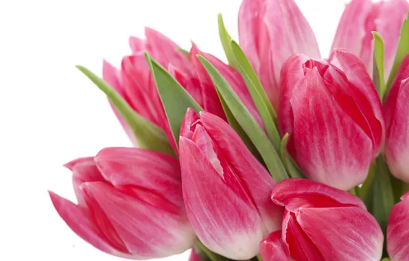 Picture leaves, flowers, bright, beauty, bouquet, petals, tulips, pink, pink, flowers, beauty, bouquet, bright, Tulips