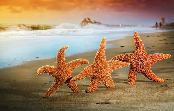 Picture sand, sea, beach, summer, stars