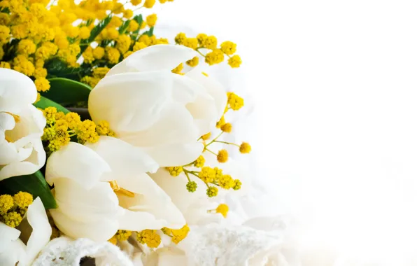 Picture bouquet, yellow, tulips, white background, white, closeup, Mimosa
