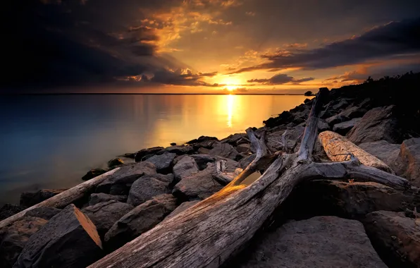 Picture the sky, the sun, clouds, sunset, lake, stones, tree