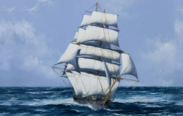 Picture Sea, Figure, Ship, Sailboat, Mast, Sails, Seagulls, White sails
