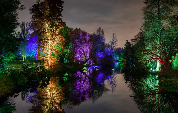 Picture light, trees, night, lights, pond, Park